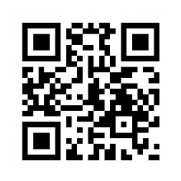 Bertoia Diamond Chair 戶外休閑椅