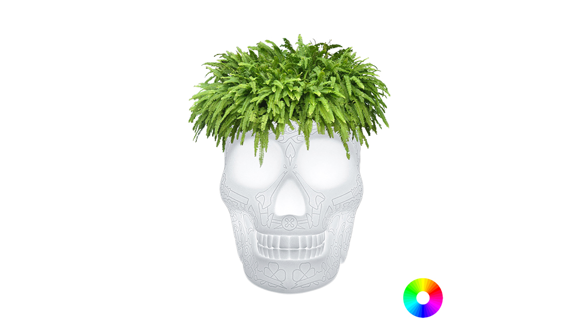 QEEBOOMEXICO PLANTER AND CHAMPAGNE COOLER RECHARGEABLE LAMP香檳冷卻器