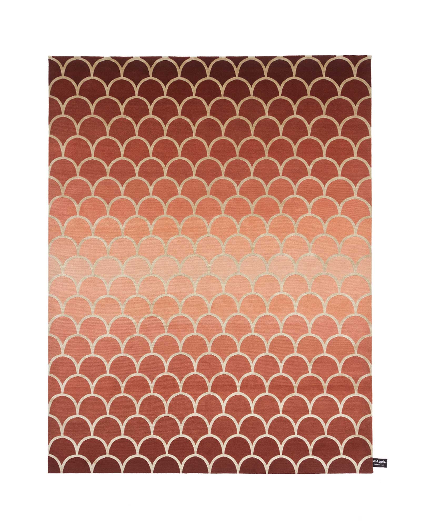 CC-TAPISECAILLES DEGRADE 2.0 地毯