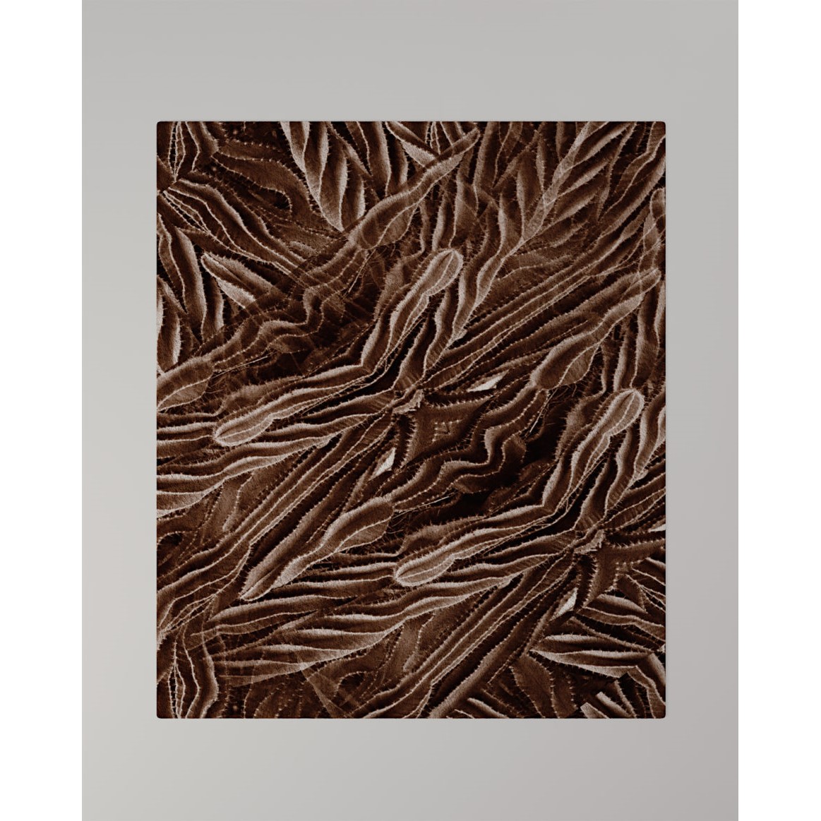 CLAN MILANOtappeti-CACTUS – TAPPETO-地毯