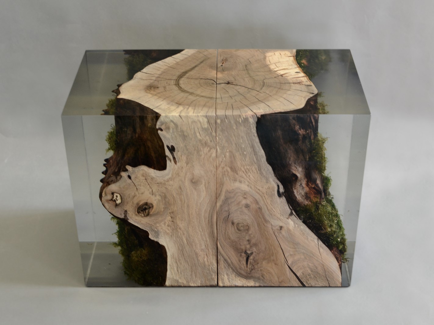 alcarolSTUMP STOOL _ WALNUT吧椅