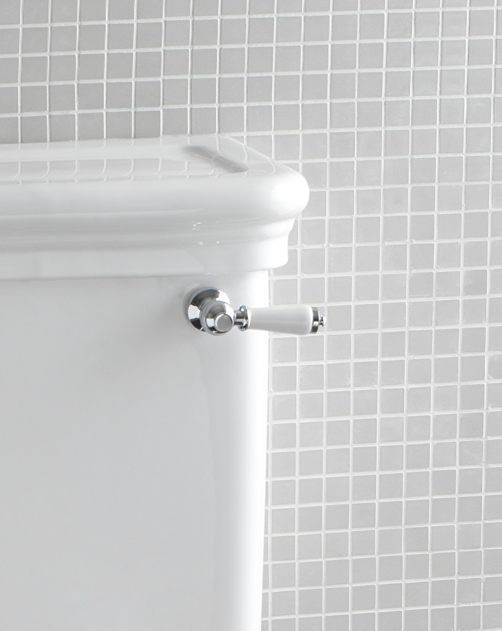 Devon&DevonLever for low level cistern水箱把手